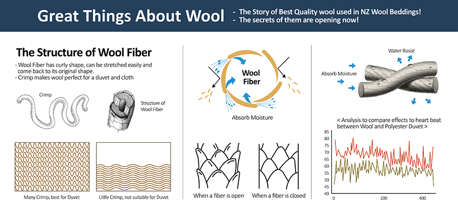 Great Things About Wool Cozyandcomfort New Zealand