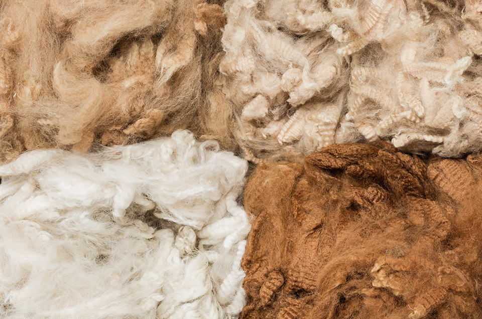 Sheep Wool Duvet Cozy Comfort New Zealand